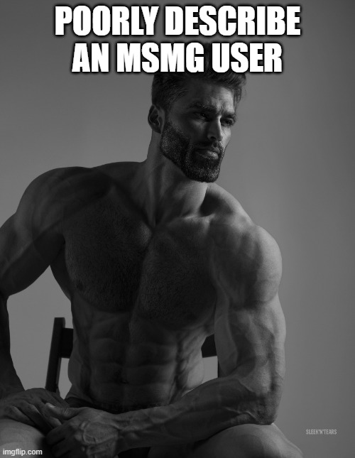 Giga Chad | POORLY DESCRIBE AN MSMG USER | image tagged in giga chad | made w/ Imgflip meme maker
