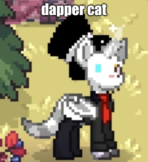 dapper cat | made w/ Imgflip meme maker