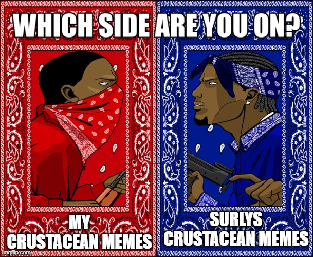 WHICH SIDE ARE YOU ON? | MY CRUSTACEAN MEMES; SURLYS CRUSTACEAN MEMES | image tagged in which side are you on | made w/ Imgflip meme maker