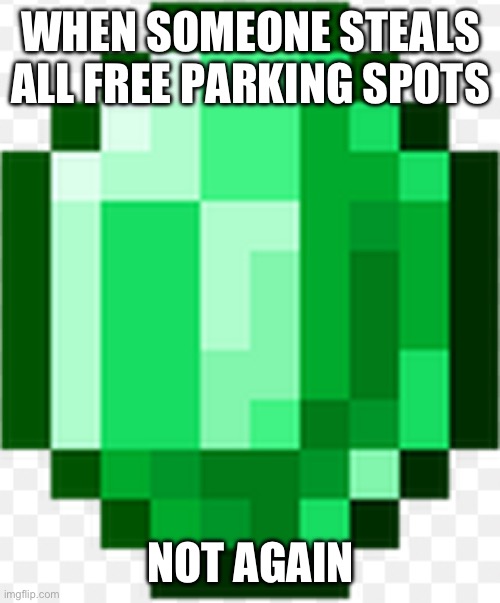 pay parking >:D | WHEN SOMEONE STEALS ALL FREE PARKING SPOTS; NOT AGAIN | image tagged in emerald minecraft | made w/ Imgflip meme maker