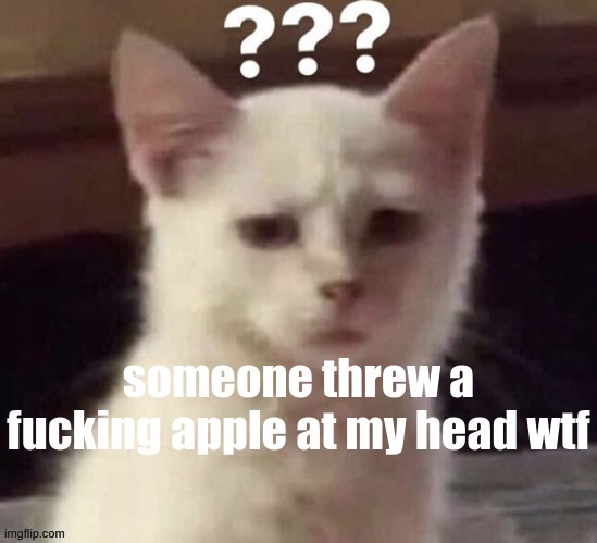 bruh | someone threw a fucking apple at my head wtf | made w/ Imgflip meme maker