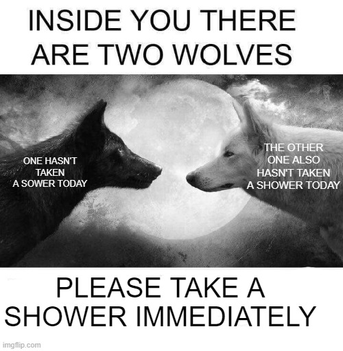 noitpircsed daer | THE OTHER ONE ALSO HASN'T TAKEN A SHOWER TODAY; ONE HASN'T TAKEN A SOWER TODAY; PLEASE TAKE A SHOWER IMMEDIATELY; this is a message to fluffy_gjyg15 btw | image tagged in inside you there are two wolves | made w/ Imgflip meme maker
