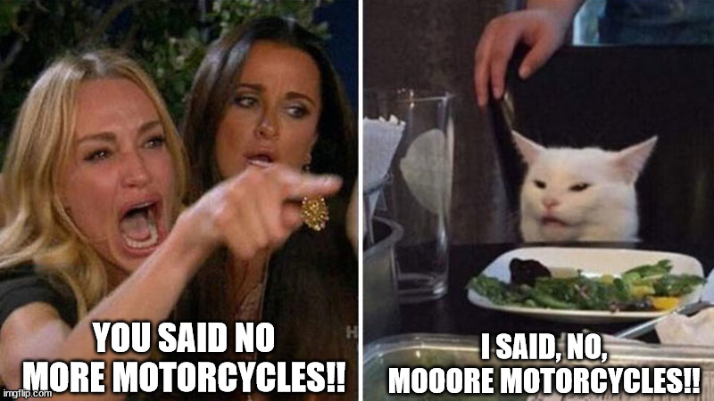 NO MORE MOTORCYCLES | I SAID, NO, MOOORE MOTORCYCLES!! YOU SAID NO MORE MOTORCYCLES!! | image tagged in woman yelling at white cat,motorcycle,motorcycles,motorbike,grammar | made w/ Imgflip meme maker