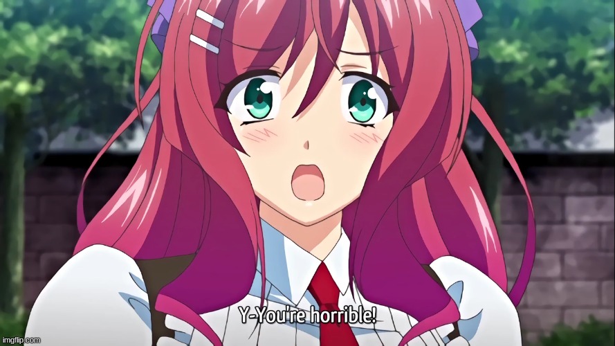 Y-You're horrible! | image tagged in y-you're horrible | made w/ Imgflip meme maker
