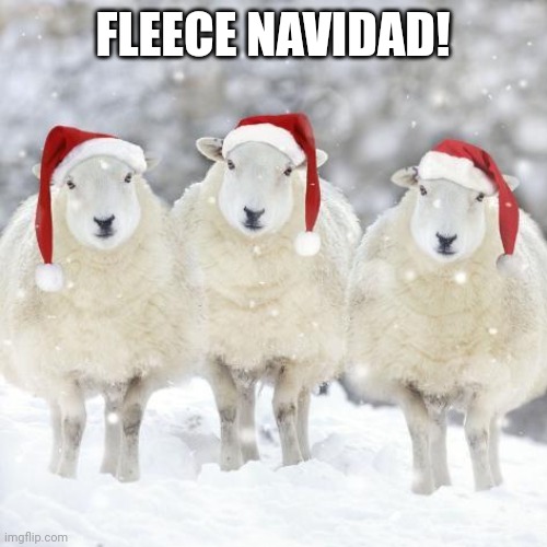 Christmas sheep | FLEECE NAVIDAD! | image tagged in christmas sheep | made w/ Imgflip meme maker