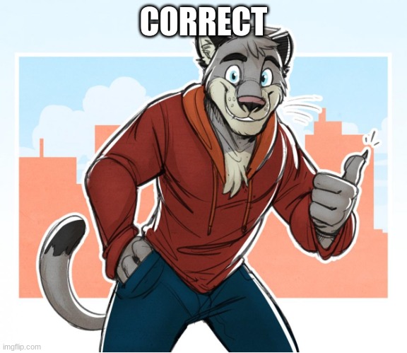 thumbs up | CORRECT | image tagged in thumbs up | made w/ Imgflip meme maker