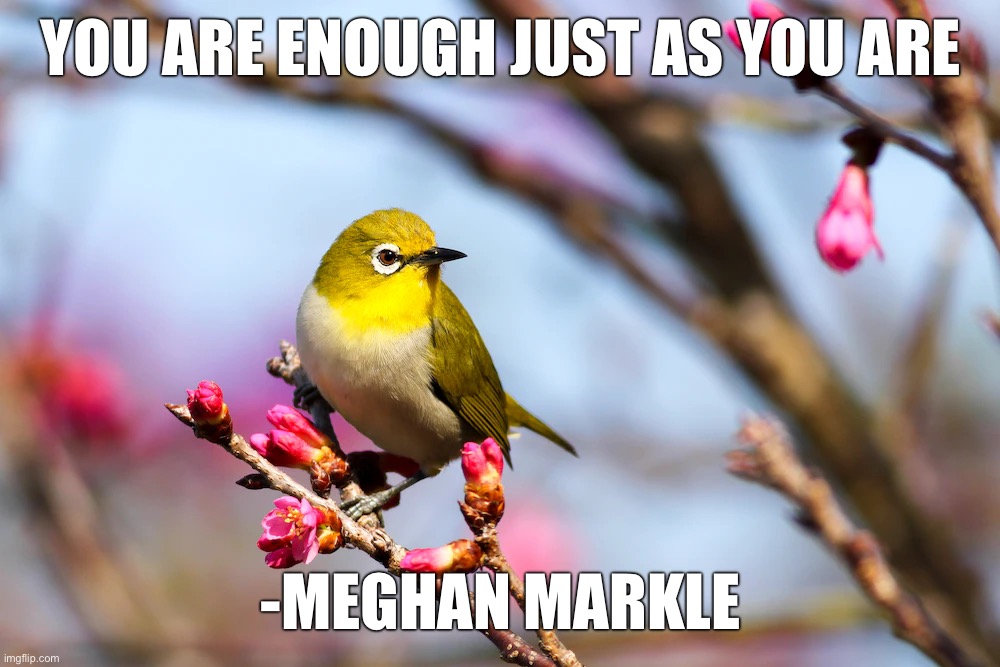 YOU ARE ENOUGH JUST AS YOU ARE; -MEGHAN MARKLE | image tagged in memes,motivational | made w/ Imgflip meme maker