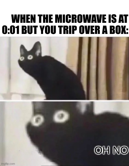 Oh No Black Cat | WHEN THE MICROWAVE IS AT 0:01 BUT YOU TRIP OVER A BOX:; OH NO | image tagged in oh no black cat,cats,oh wow are you actually reading these tags,stop reading the tags | made w/ Imgflip meme maker