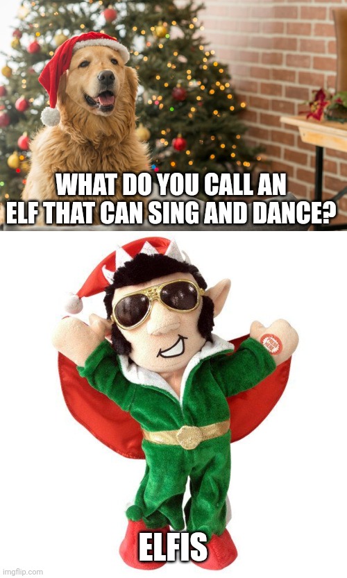 WHAT DO YOU CALL AN ELF THAT CAN SING AND DANCE? ELFIS | image tagged in christmas dog 1,elfis | made w/ Imgflip meme maker