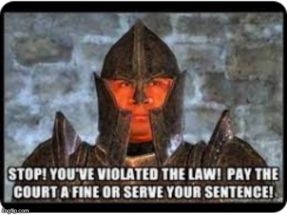 stop you've violated the law | image tagged in stop you've violated the law | made w/ Imgflip meme maker