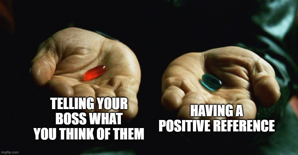 Boss' | TELLING YOUR BOSS WHAT YOU THINK OF THEM; HAVING A POSITIVE REFERENCE | image tagged in red pill blue pill,work | made w/ Imgflip meme maker
