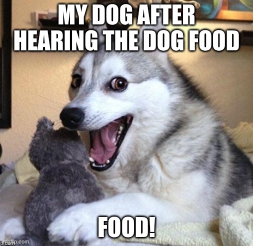 my dog | MY DOG AFTER HEARING THE DOG FOOD; FOOD! | image tagged in memes | made w/ Imgflip meme maker