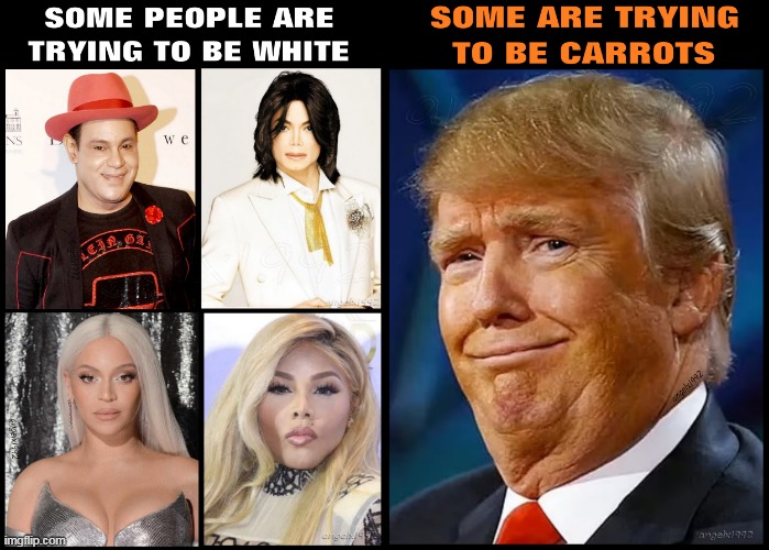 sometimes i pretend to be a carrot | image tagged in beyonce,sammy sosa,michael jackson,trump,lil kim,carrot | made w/ Imgflip meme maker