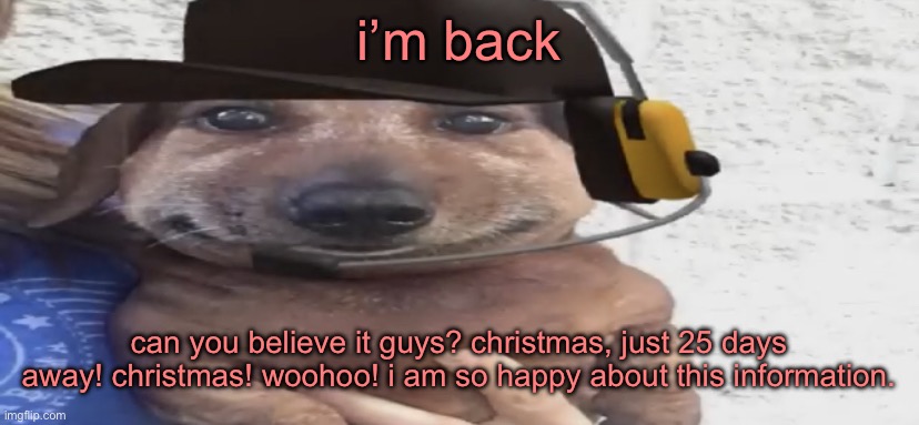 chucklenuts | i’m back; can you believe it guys? christmas, just 25 days away! christmas! woohoo! i am so happy about this information. | image tagged in chucklenuts | made w/ Imgflip meme maker