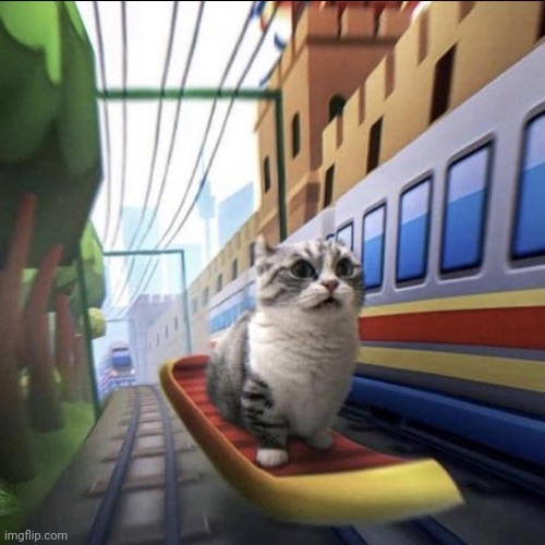 Gato | made w/ Imgflip meme maker