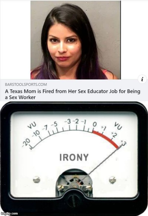 I Mean, It's Her Job! | image tagged in irony meter | made w/ Imgflip meme maker