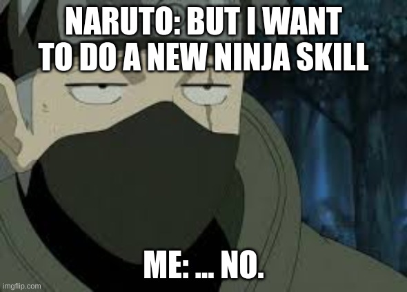 Are you kidding me, Bro? | NARUTO: BUT I WANT TO DO A NEW NINJA SKILL; ME: ... NO. | image tagged in are you serious kakashi | made w/ Imgflip meme maker