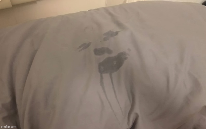 I cried a little too hard into my pillow (Mod note: XD) | made w/ Imgflip meme maker