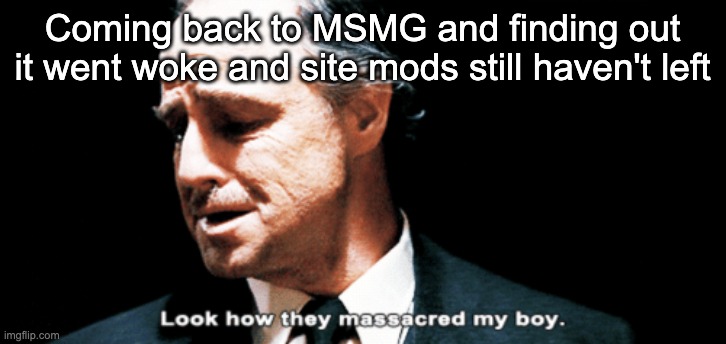 Look how they massacred my boy | Coming back to MSMG and finding out it went woke and site mods still haven't left | image tagged in look how they massacred my boy | made w/ Imgflip meme maker