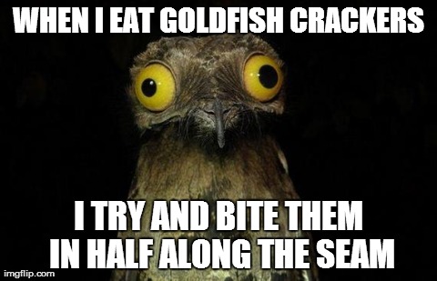 weird stuff i do pootoo | WHEN I EAT GOLDFISH CRACKERS I TRY AND BITE THEM IN HALF ALONG THE SEAM | image tagged in weird stuff i do pootoo,AdviceAnimals | made w/ Imgflip meme maker