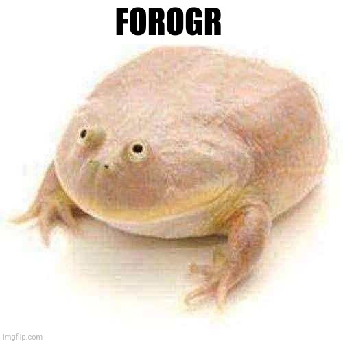 Wednesday Frog Blank | FOROGR | image tagged in wednesday frog blank | made w/ Imgflip meme maker