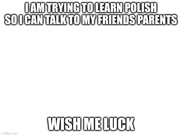 I AM TRYING TO LEARN POLISH SO I CAN TALK TO MY FRIENDS PARENTS; WISH ME LUCK | made w/ Imgflip meme maker