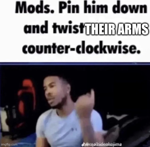 Mods. Pin him down and twist his nuts counter-clockwise. | THEIR ARMS | image tagged in mods pin him down and twist his nuts counter-clockwise | made w/ Imgflip meme maker