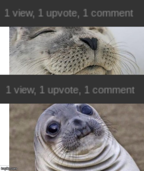 image tagged in short satisfaction vs truth,satisfied seal,imgflip | made w/ Imgflip meme maker