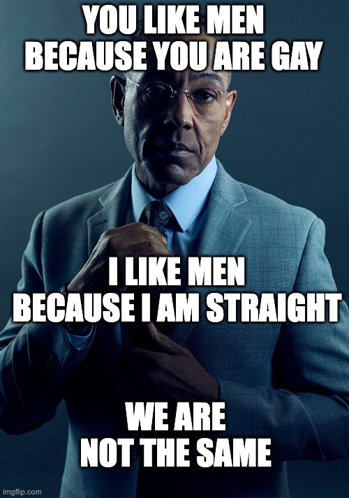 Gus Fring we are not the same | YOU LIKE MEN BECAUSE YOU ARE GAY I LIKE MEN BECAUSE I AM STRAIGHT WE ARE NOT THE SAME | image tagged in gus fring we are not the same | made w/ Imgflip meme maker