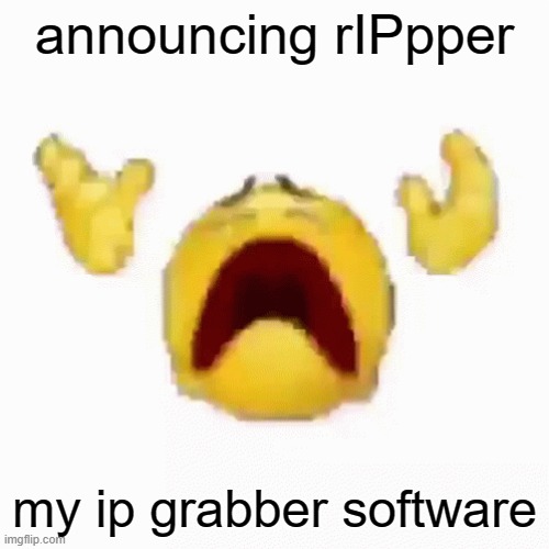 :nooo: | announcing rIPpper; my ip grabber software | image tagged in nooo | made w/ Imgflip meme maker