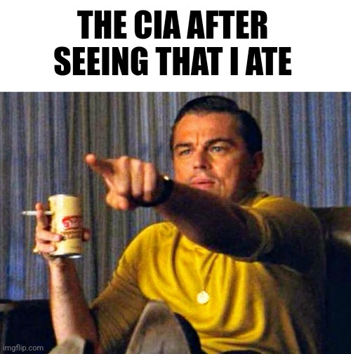Leonardo Dicaprio pointing at tv | THE CIA AFTER SEEING THAT I ATE | image tagged in leonardo dicaprio pointing at tv | made w/ Imgflip meme maker
