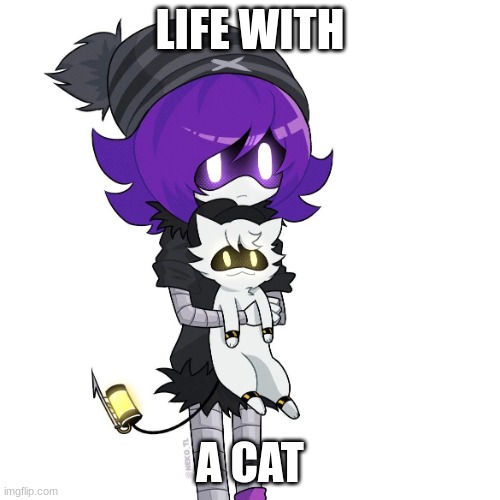 Uzi with cat | LIFE WITH; A CAT | image tagged in uzi with cat | made w/ Imgflip meme maker