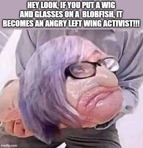 same IQ too | HEY LOOK, IF YOU PUT A WIG AND GLASSES ON A  BLOBFISH, IT BECOMES AN ANGRY LEFT WING ACTIVIST!!! | image tagged in stupid liberals,funny memes,funny meme,political meme,political humor | made w/ Imgflip meme maker