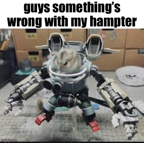 I think imma die | guys something’s wrong with my hampter | made w/ Imgflip meme maker