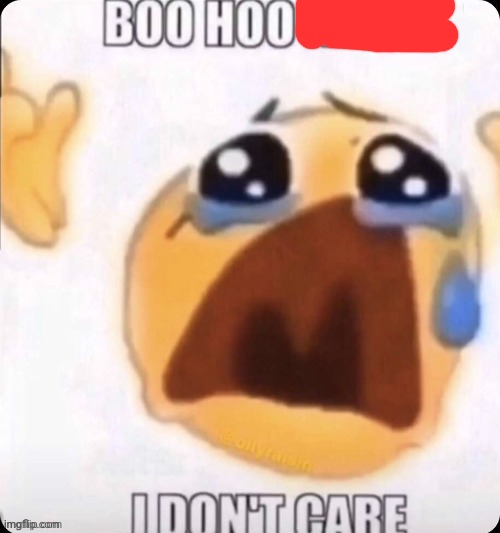 boo hoo I don't care | image tagged in boo hoo i don't care | made w/ Imgflip meme maker