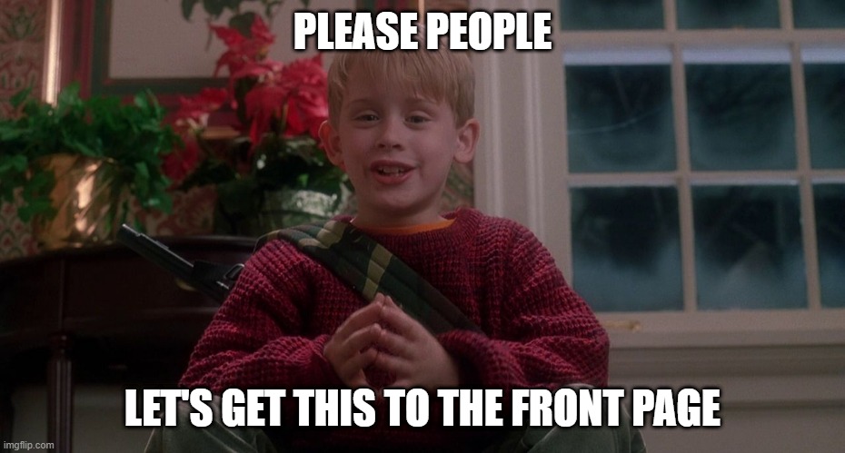 Home Alone | PLEASE PEOPLE LET'S GET THIS TO THE FRONT PAGE | image tagged in home alone | made w/ Imgflip meme maker