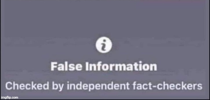 False information | image tagged in false information | made w/ Imgflip meme maker