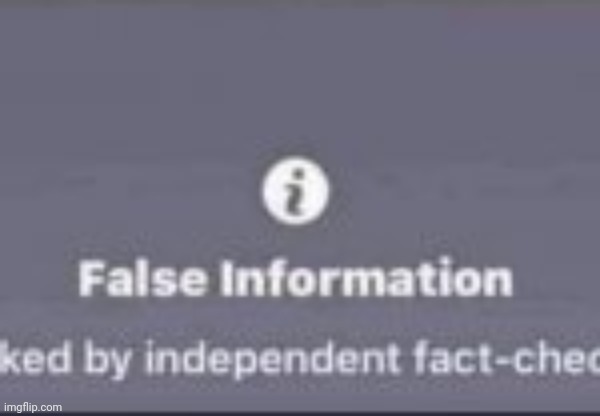 False information | image tagged in false information | made w/ Imgflip meme maker