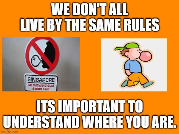 WE DON'T ALL LIVE BY THE SAME RULES; ITS IMPORTANT TO UNDERSTAND WHERE YOU ARE. | image tagged in tuxedo winnie the pooh | made w/ Imgflip meme maker