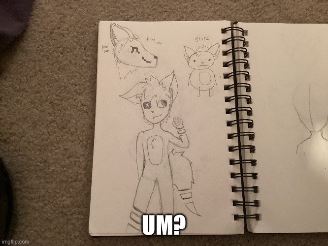 The proportions ? | UM? | made w/ Imgflip meme maker
