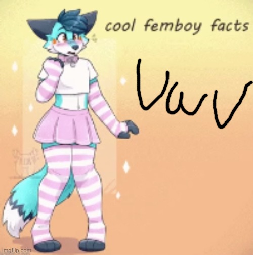 cool femboy facts | image tagged in cool femboy facts | made w/ Imgflip meme maker