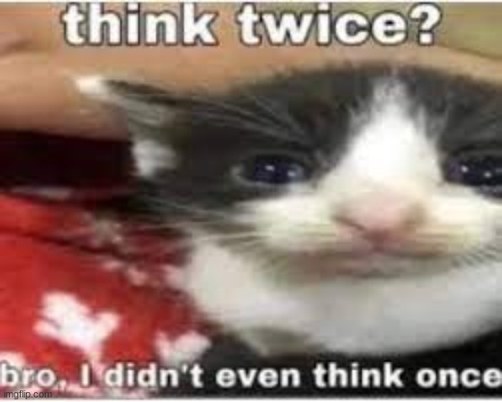 made w/ Imgflip meme maker