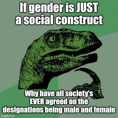 Philosoraptor Meme | If gender is JUST a social construct; Why have all society's EVER agreed on the designations being male and female | image tagged in memes,philosoraptor | made w/ Imgflip meme maker
