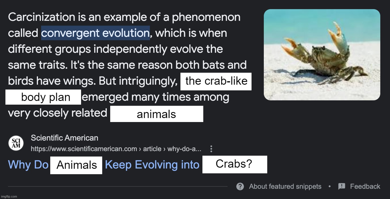Everything evolves into crabs | the crab-like; body plan; animals; Crabs? Animals | image tagged in crabs,carcinization,evolution | made w/ Imgflip meme maker