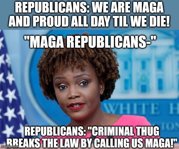 Rotfl | REPUBLICANS: WE ARE MAGA AND PROUD ALL DAY TIL WE DIE! "MAGA REPUBLICANS-"; REPUBLICANS: "CRIMINAL THUG BREAKS THE LAW BY CALLING US MAGA!" | image tagged in conservatives,republicans,hilarious,idiots | made w/ Imgflip meme maker