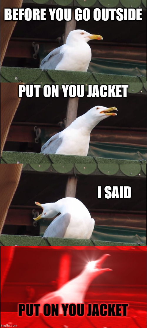 Parents | BEFORE YOU GO OUTSIDE; PUT ON YOU JACKET; I SAID; PUT ON YOU JACKET | image tagged in memes,inhaling seagull,parents | made w/ Imgflip meme maker