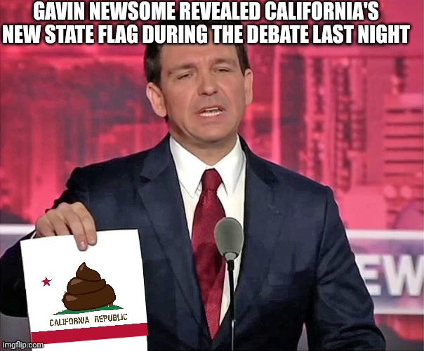 GAVIN NEWSOME REVEALED CALIFORNIA'S NEW STATE FLAG DURING THE DEBATE LAST NIGHT | made w/ Imgflip meme maker