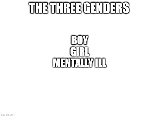 the three genders | THE THREE GENDERS; BOY

GIRL

MENTALLY ILL | image tagged in boy,girl | made w/ Imgflip meme maker
