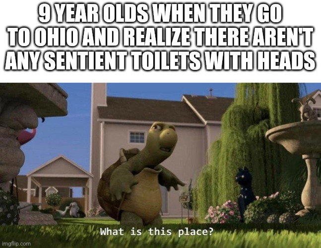 What is this place | 9 YEAR OLDS WHEN THEY GO TO OHIO AND REALIZE THERE AREN'T ANY SENTIENT TOILETS WITH HEADS | image tagged in what is this place | made w/ Imgflip meme maker