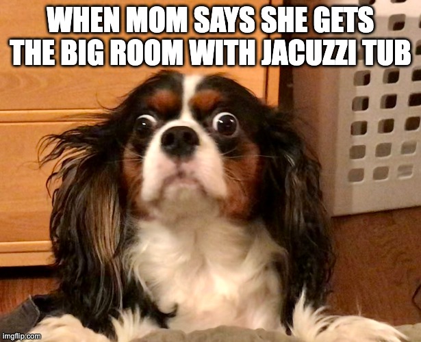 Charlotte | WHEN MOM SAYS SHE GETS THE BIG ROOM WITH JACUZZI TUB | image tagged in charlotte | made w/ Imgflip meme maker